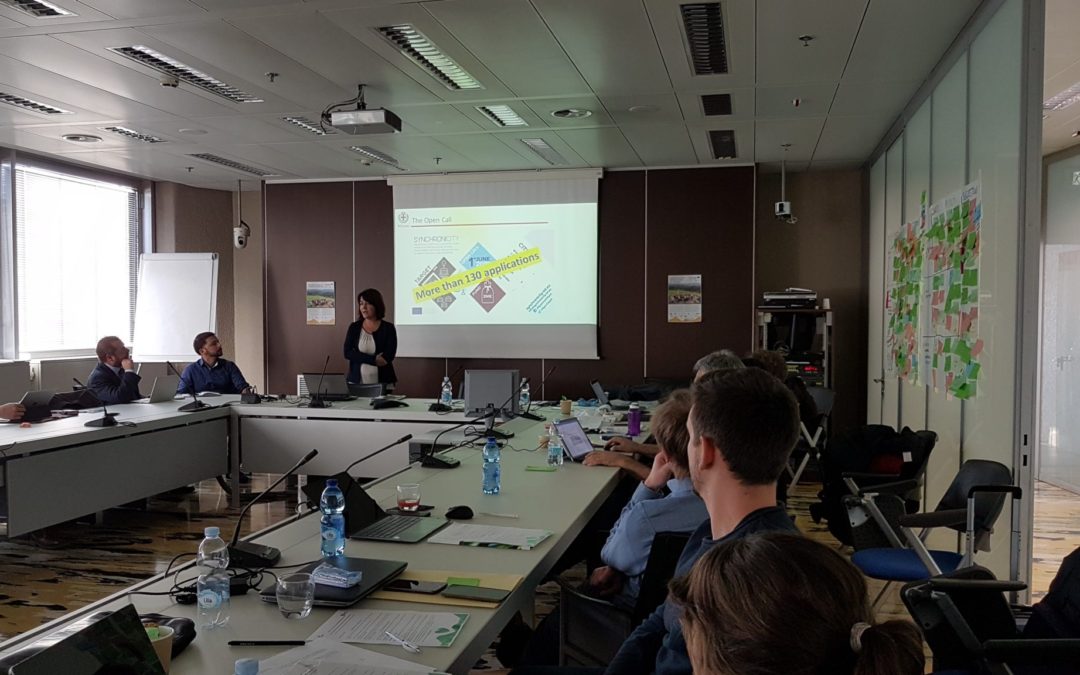 The City of Milan and SynchroniCity  as a Role Model for the Digital Transformation of Alpine Regional Areas